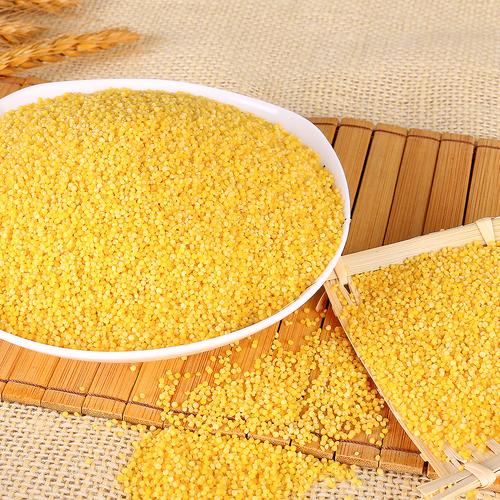 黄小米山西省营养特级原生态宝宝食用农产品特产1斤小米